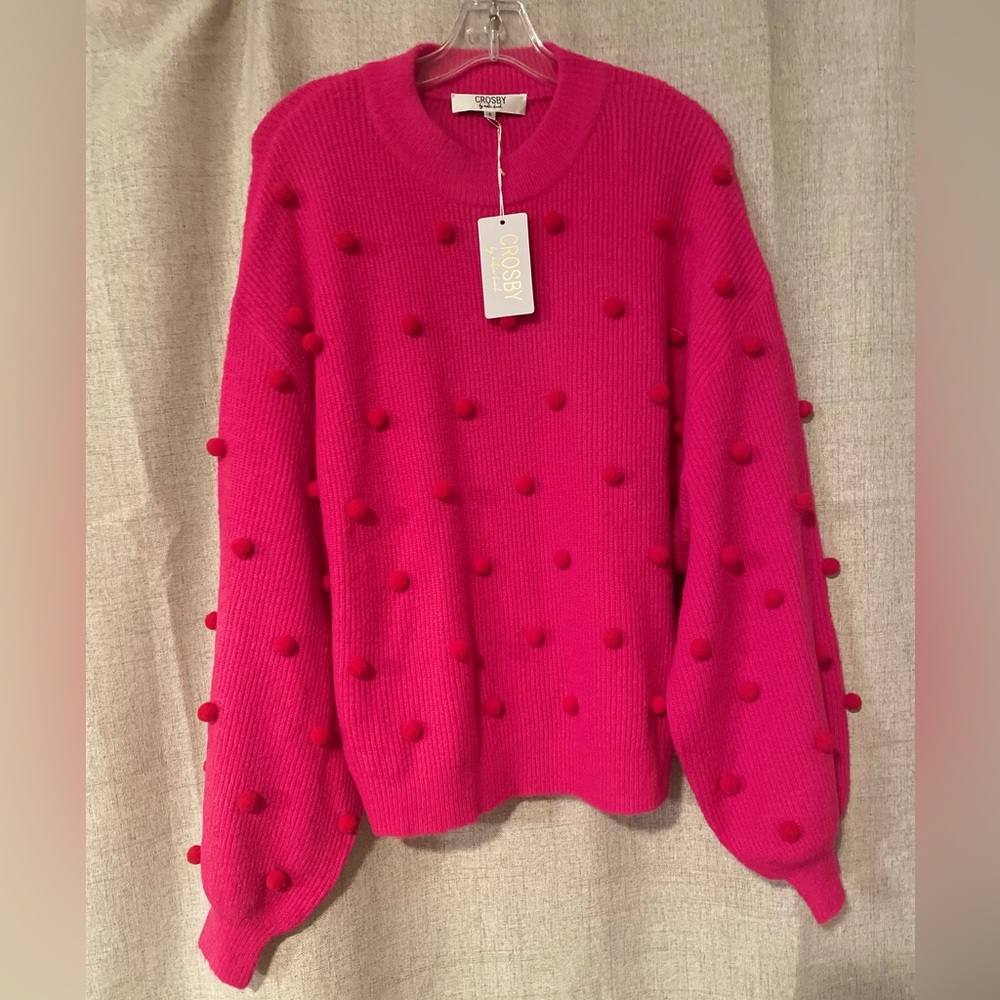 Crosby by Mollie Burch NWT Miller Sweater | S